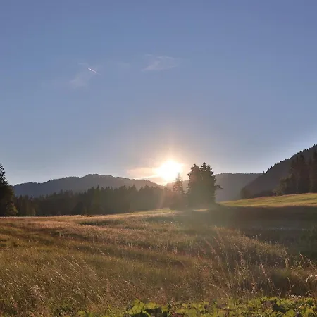 Ruhehotel & Naturresort Rehbach - Adults Only Schattwald
