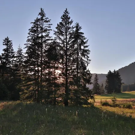 فندق Ruhehotel & Naturresort Rehbach - Adults Only 4*