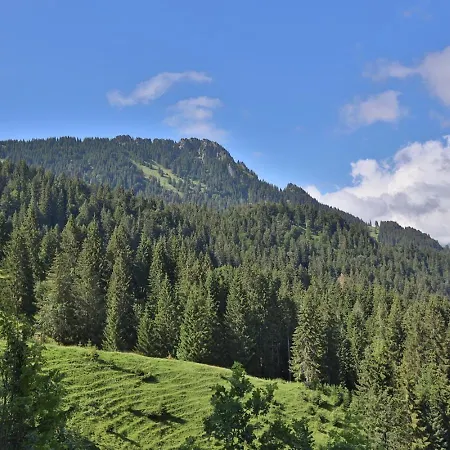 Hotel Ruhehotel & Naturresort Rehbach - Adults Only Schattwald