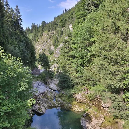 Hotel Ruhehotel & Naturresort Rehbach - Adults Only