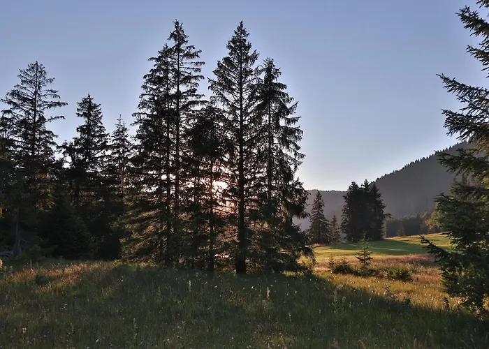 Hotel Ruhehotel & Naturresort Rehbach - Adults Only 4*
